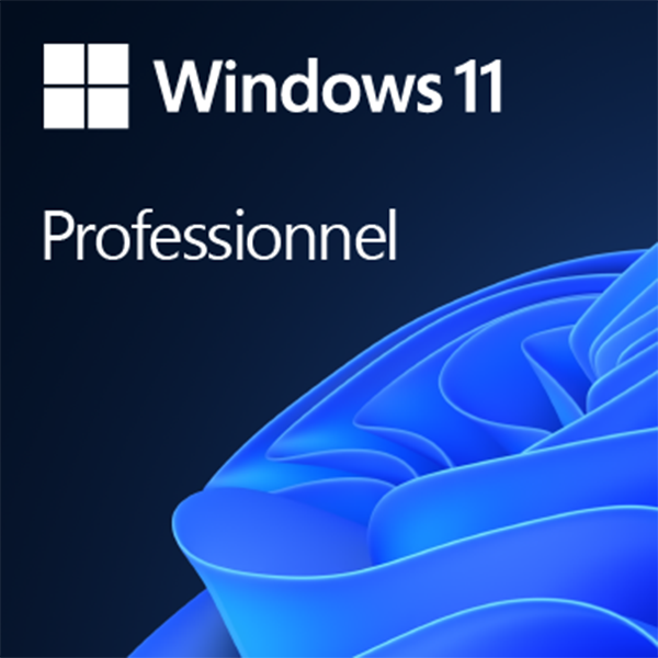 Windows 11 Pro 64Bit English International 1pack DSP OEI DVD
