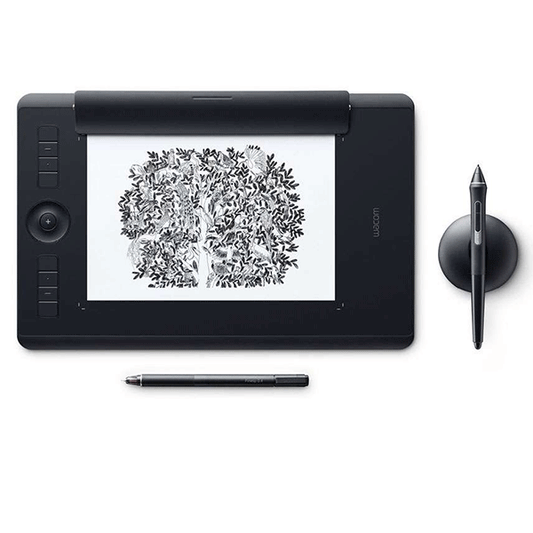 WACOM INTUOS Pro Medium Paper Graphics With Pro PEN Stylus 2